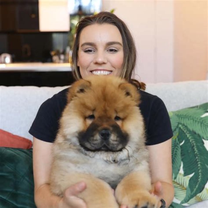 James Turner Bio, Wiki, Age, Family, Girlfriend, Net Worth, Height, and Deligracy
