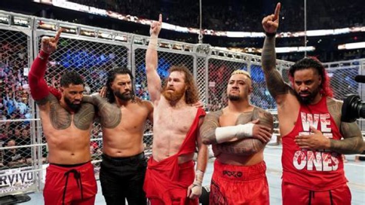 Sami Zayn Age, Wiki, Biography, Net Worth, Girlfriend, Married, Wife, Height