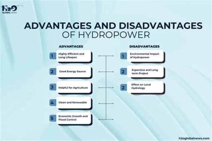 What are the advantages and disadvantages of undergoing metamorphosis