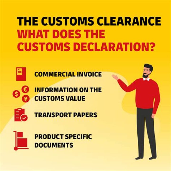 What does clearance delay mean dhl