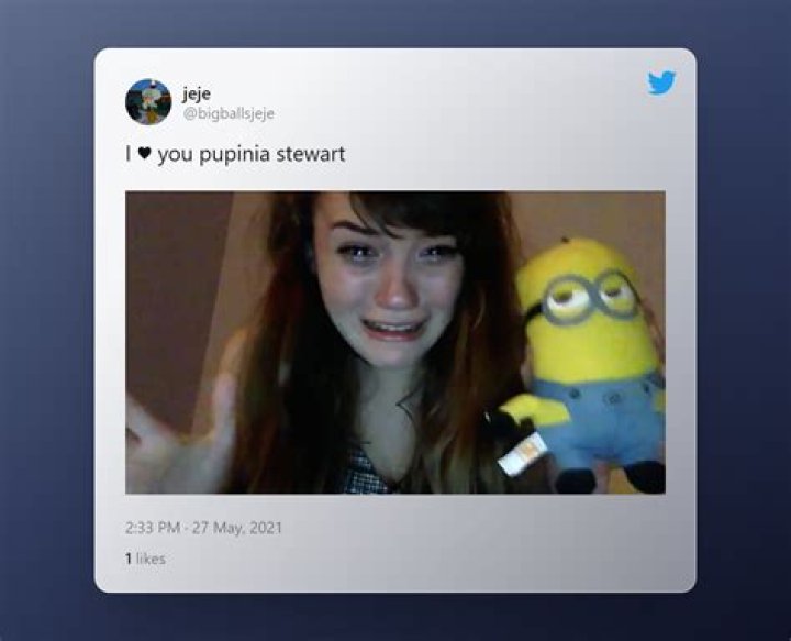Where Is Pupinia Stewart Now? TikTok Age and Instagram Bio