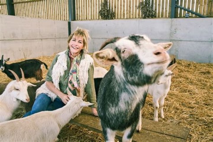 Who Is Ellen Helliwell From Clarkson’s Farm? Find Her On Instagram